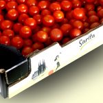tomate cherry diabetes